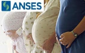 embarazo empleada doméstica-trámite licencia por maternidad ante anses